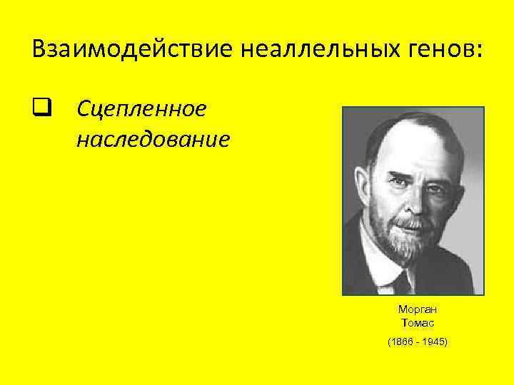 Взаимодействие неаллельных генов: q Сцепленное наследование Морган Томас (1866 - 1945) 