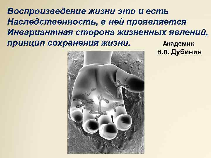 Воспроизведение жизни это и есть Наследственность, в ней проявляется Инвариантная сторона жизненных явлений, Академик