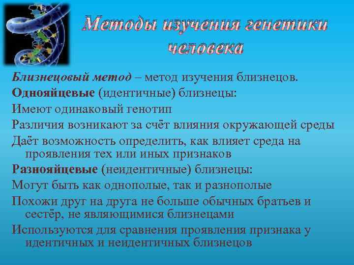 Методы изучения генетики человека Близнецовый метод – метод изучения близнецов. Однояйцевые (идентичные) близнецы: Имеют