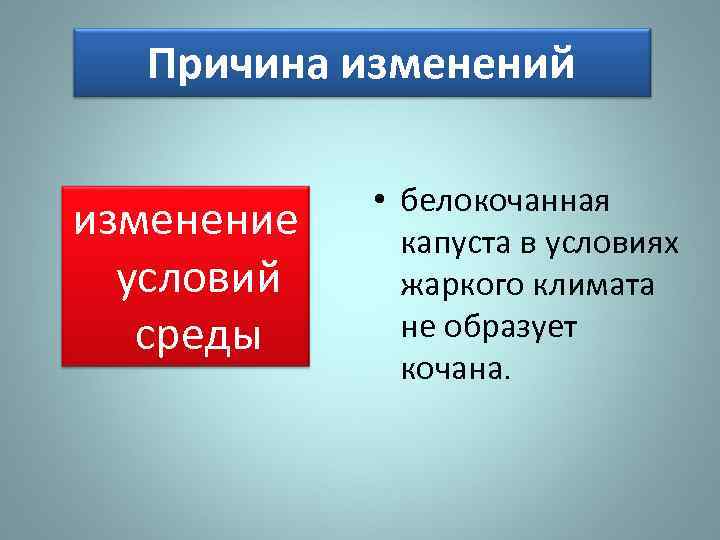 Причина изменений изменение условий среды • белокочанная капуста в условиях жаркого климата не образует