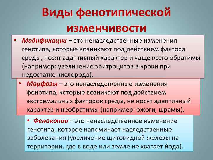 Виды фенотипической изменчивости • Модификации – это ненаследственные изменения генотипа, которые возникают под действием