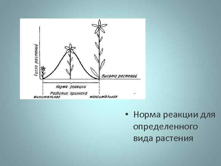  • Норма реакции для определенного вида растения 19 