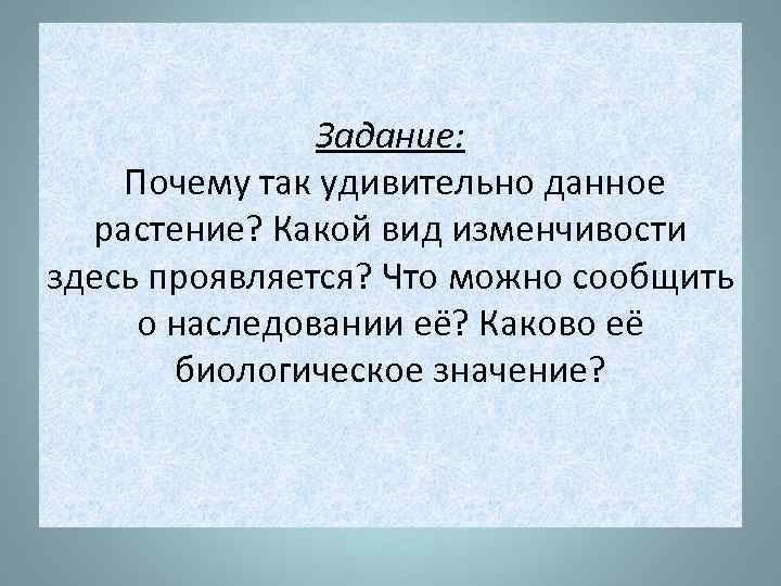 Задание: Почему так удивительно данное растение? Какой вид изменчивости здесь проявляется? Что можно сообщить