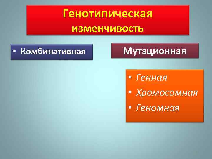 Генотипическая изменчивость • Комбинативная Мутационная • Генная • Хромосомная • Геномная 44 