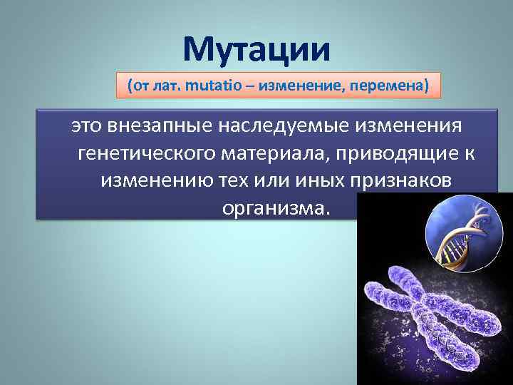 Мутации (от лат. mutatio – изменение, перемена) это внезапные наследуемые изменения генетического материала, приводящие