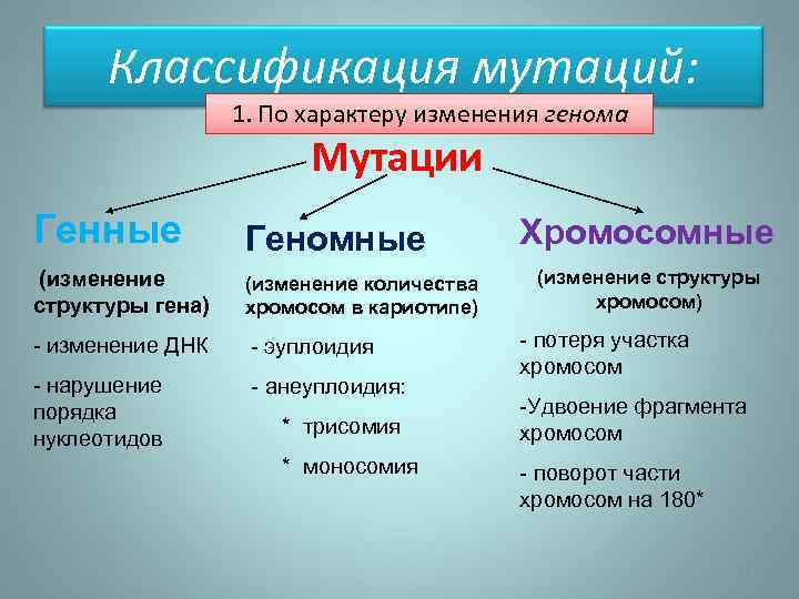 Классификация мутаций: 1. По характеру изменения генома Мутации Генные Геномные (изменение структуры гена) (изменение