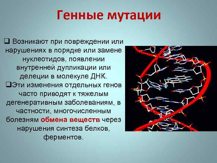 Генные мутации q Возникают при повреждении или нарушениях в порядке или замене нуклеотидов, появлении