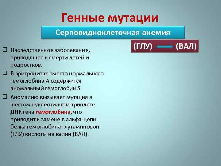 Генные мутации Серповидноклеточная анемия q Наследственное заболевание, приводящее к смерти детей и подростков. q