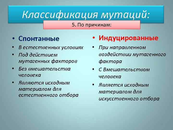 Классификация мутаций: 5. По причинам: • Спонтанные • Индуцированные • В естественных условиях •