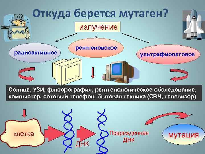 Где получить образец мутагена