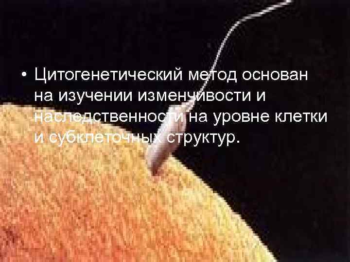  • Цитогенетический метод основан на изучении изменчивости и наследственности на уровне клетки и