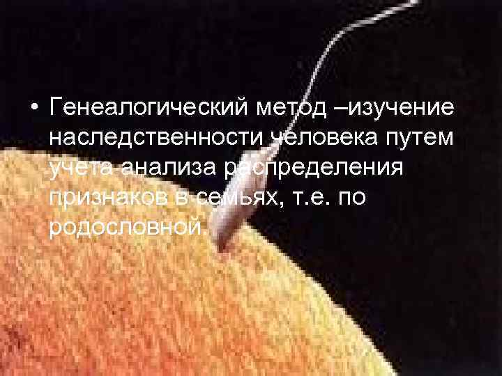  • Генеалогический метод –изучение наследственности человека путем учета анализа распределения признаков в семьях,