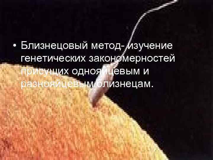  • Близнецовый метод- изучение генетических закономерностей присущих однояйцевым и разнояйцевым близнецам. 