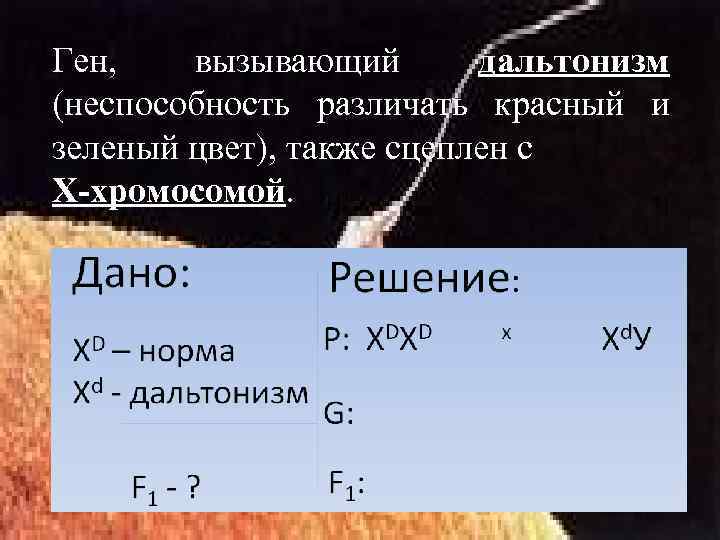 Ген, вызывающий дальтонизм (неспособность различать красный и зеленый цвет), также сцеплен с Х-хромосомой. 