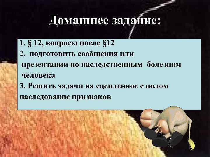 Домашнее задание: 1. § 12, вопросы после § 12 2. подготовить сообщения или презентации