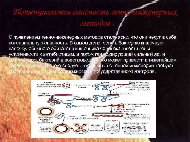 Потенциальная опасность генно-инженерных методов С появлением генно-инженерных методов стало ясно, что они несут в