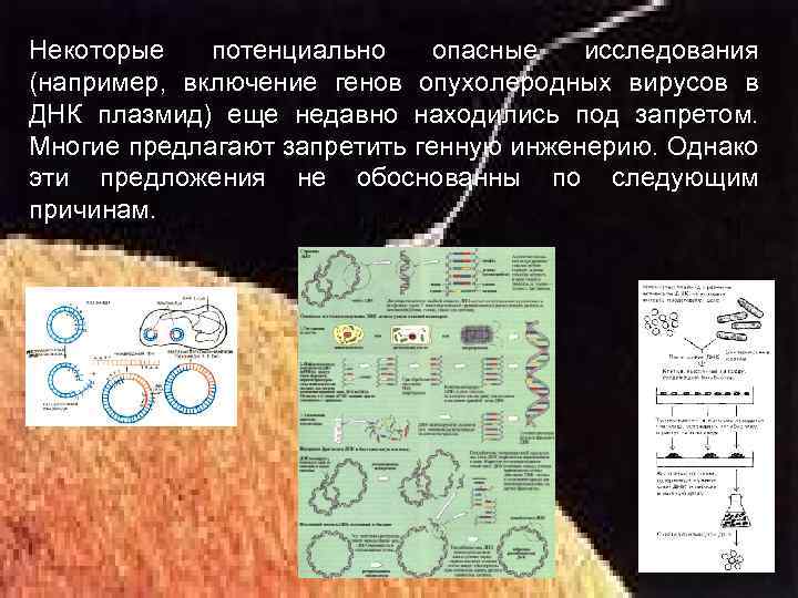 Некоторые потенциально опасные исследования (например, включение генов опухолеродных вирусов в ДНК плазмид) еще недавно