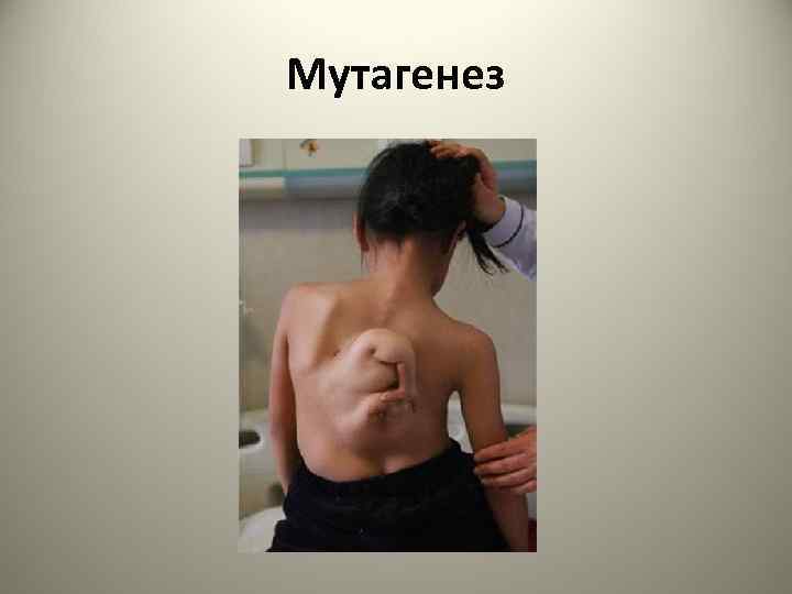 Мутагенез 