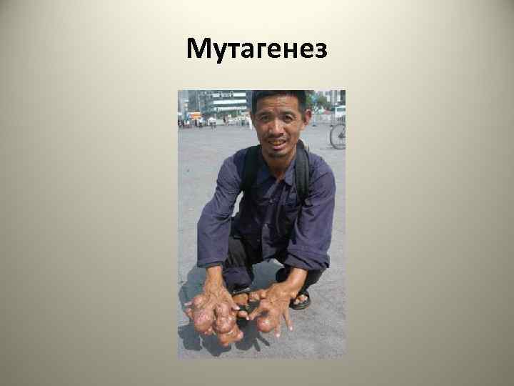 Мутагенез 