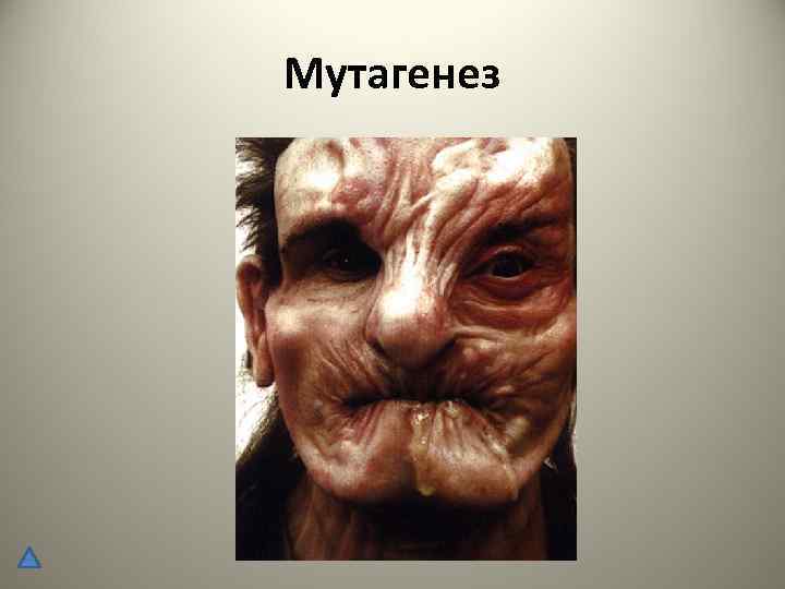Мутагенез 