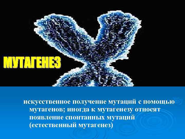 Мутагены их влияние на живую природу и человека презентация 11 класс