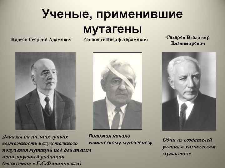 Ученые, применившие мутагены Надсон Георгий Адамович Рапапорт Иосиф Абрамович Положил начало Доказал на низших