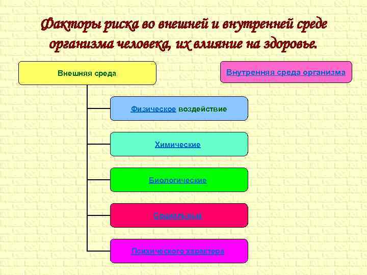 Факторы риска во внешней и внутренней среде организма человека, их влияние на здоровье. Внутренняя