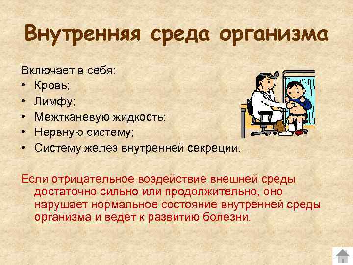 Внутренняя среда организма Включает в себя: • Кровь; • Лимфу; • Межтканевую жидкость; •