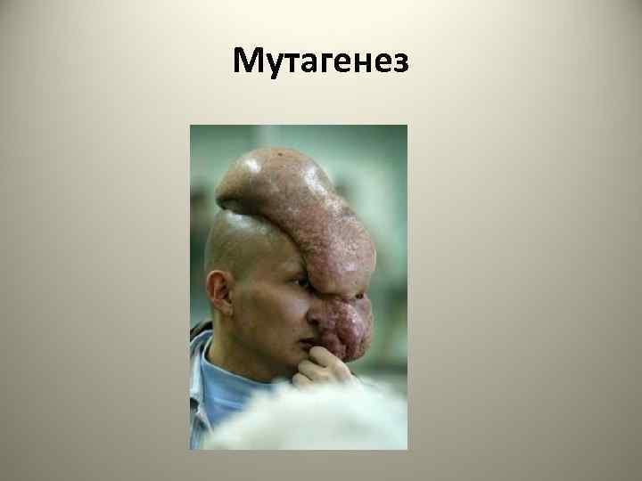 Мутагенез 
