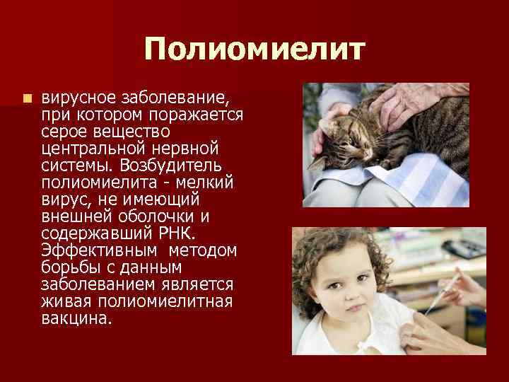 Полиомиелит n вирусное заболевание, при котором поражается серое вещество центральной нервной системы. Возбудитель полиомиелита