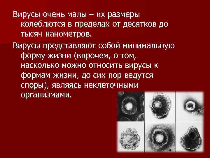 Вирусы очень малы – их размеры колеблются в пределах от десятков до тысяч нанометров.
