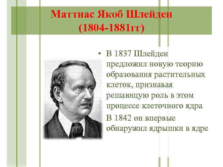 Маттиас Якоб Шлейден (1804 -1881 гг) • В 1837 Шлейден предложил новую теорию образования