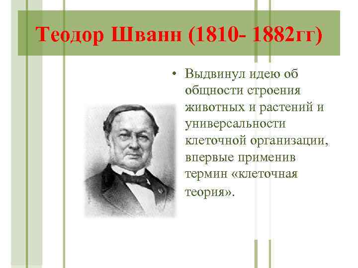 Теодор Шванн (1810 - 1882 гг) • Выдвинул идею об общности строения животных и