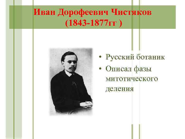 Иван Дорофеевич Чистяков (1843 -1877 гг ) • Русский ботаник • Описал фазы митотического