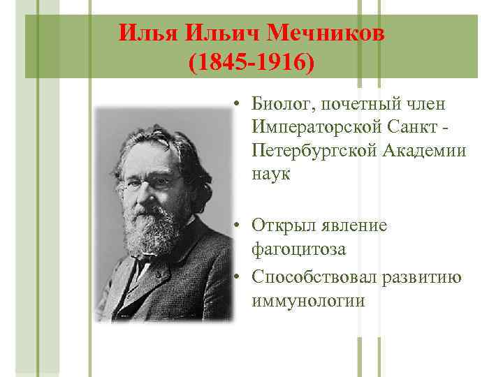 Илья Ильич Мечников (1845 -1916) • Биолог, почетный член Императорской Санкт Петербургской Академии наук