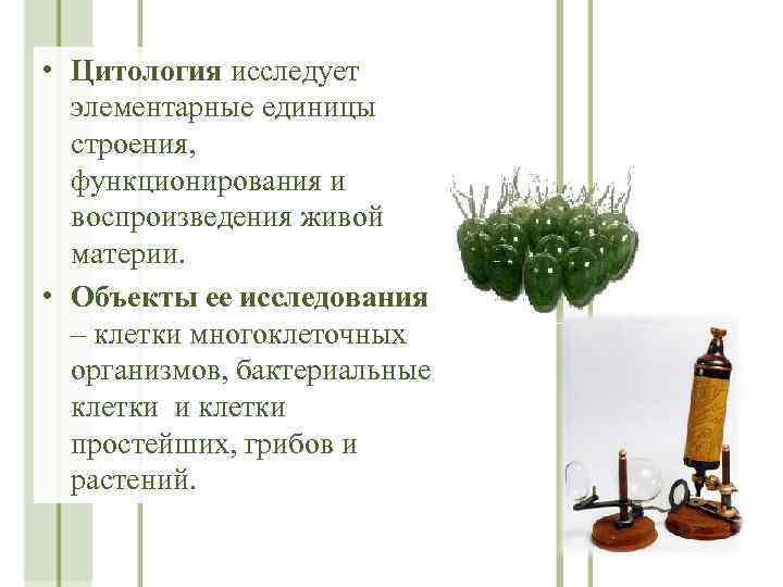  • Цитология исследует элементарные единицы строения, функционирования и воспроизведения живой материи. • Объекты