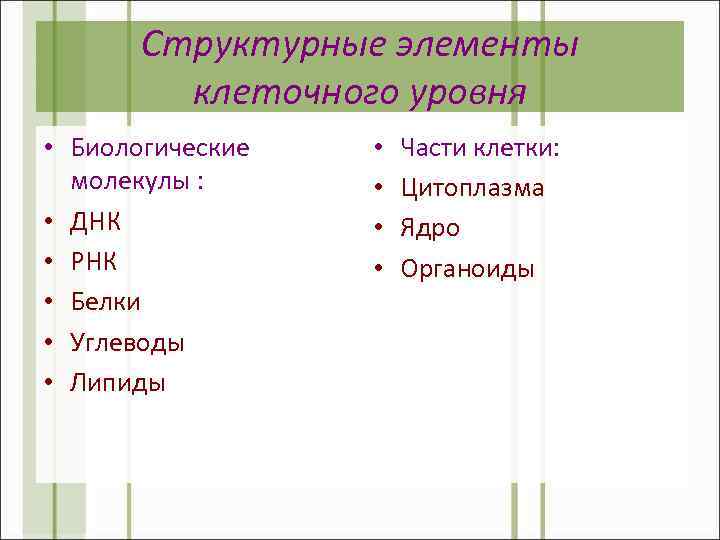 Структурные элементы клеточного уровня • Биологические молекулы : • ДНК • РНК • Белки