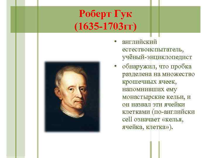 Роберт Гук (1635 -1703 гг) • английский естествоиспытатель, учёный-энциклопедист • обнаружил, что пробка разделена