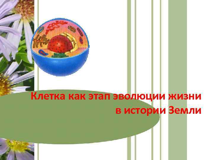 Клетка как этап эволюции жизни в истории Земли 