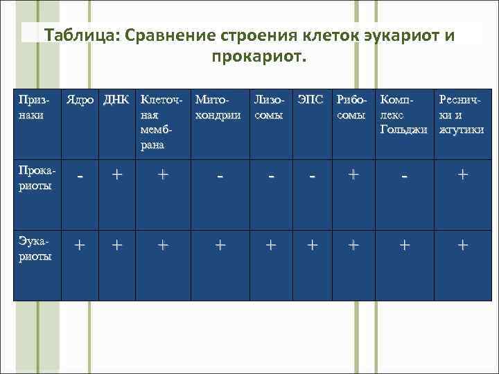 Таблица: Сравнение строения клеток эукариот и прокариот. Признаки Ядро ДНК Клеточ- Митоная хондрии мембрана