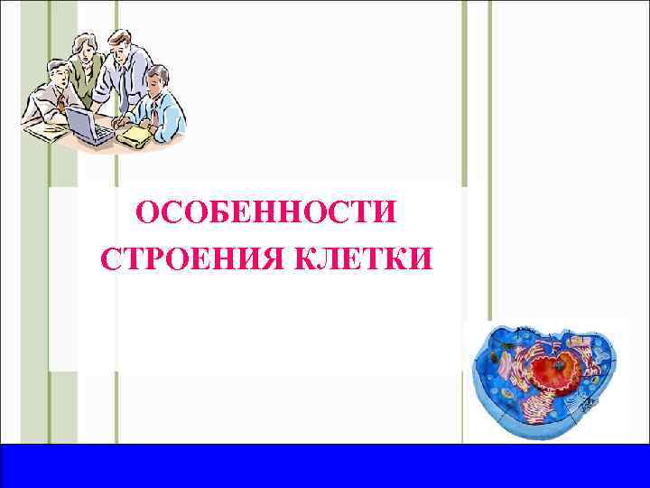 ОСОБЕННОСТИ СТРОЕНИЯ КЛЕТКИ 2008 год 