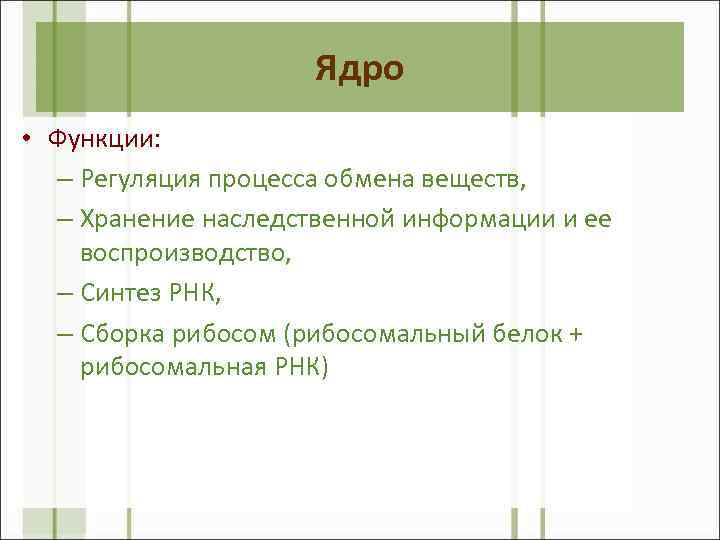 Ядро • Функции: – Регуляция процесса обмена веществ, – Хранение наследственной информации и ее