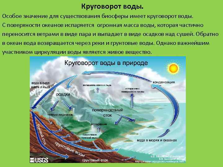 Круговорот воды. Особое значение для существования биосферы имеет круговорот воды. С поверхности океанов испаряется