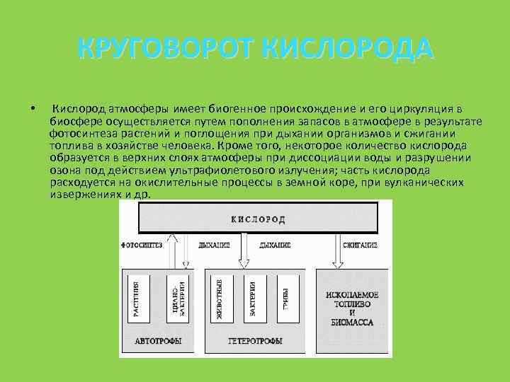 Какие газы атмосферы имеют биогенное происхождение