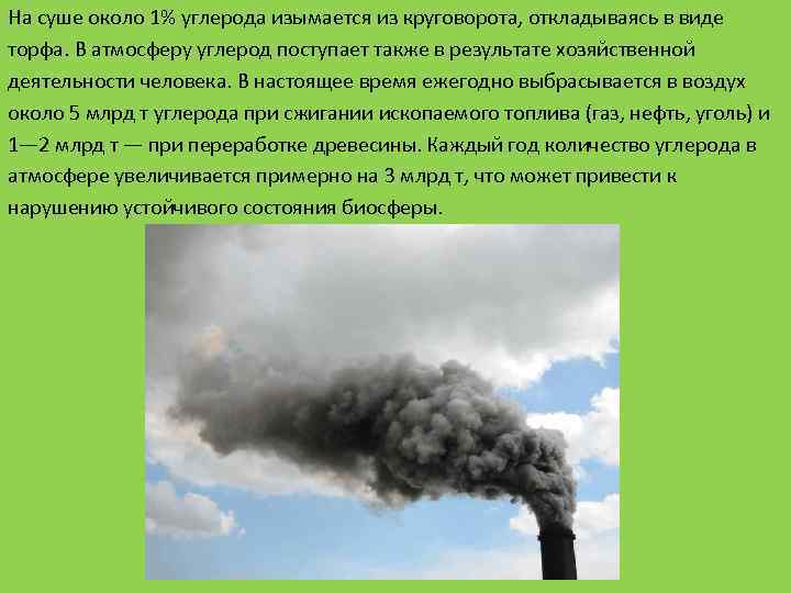 На суше около 1% углерода изымается из круговорота, откладываясь в виде торфа. В атмосферу