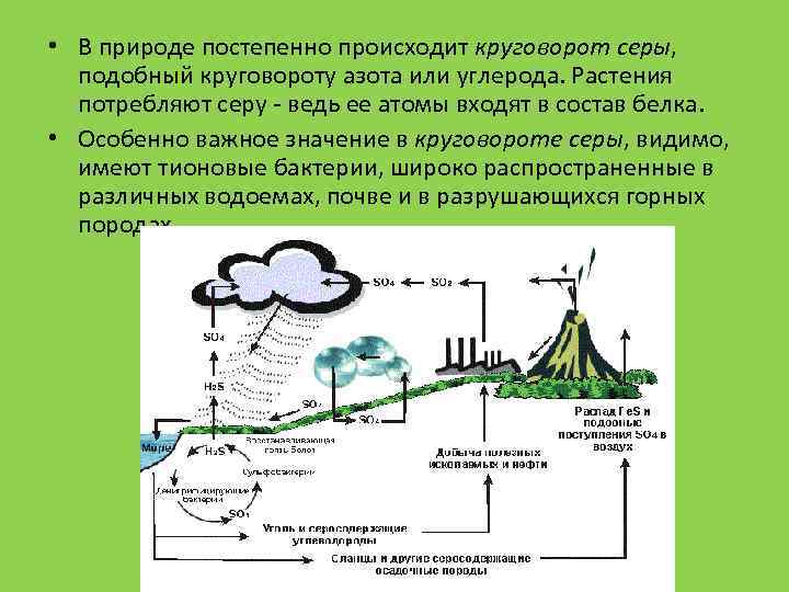  • В природе постепенно происходит круговорот серы, подобный круговороту азота или углерода. Растения