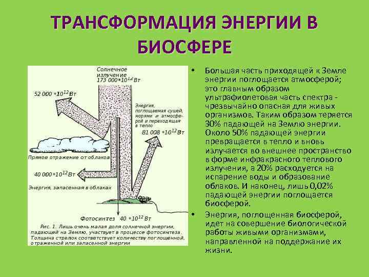 ТРАНСФОРМАЦИЯ ЭНЕРГИИ В БИОСФЕРЕ • • Большая часть приходящей к Земле энергии поглощается атмосферой;