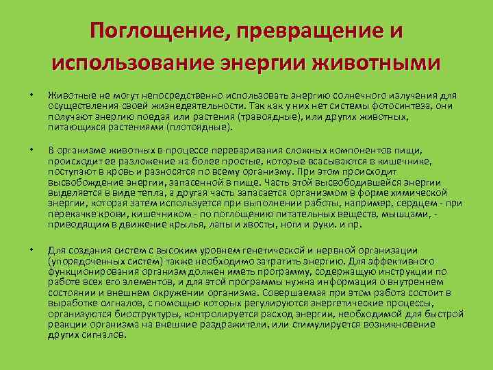 Поглощение, превращение и использование энергии животными • Животные не могут непосредственно использовать энергию солнечного