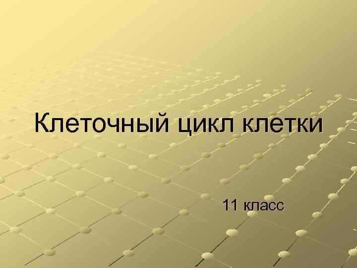 Клеточный цикл клетки 11 класс 