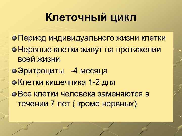 Клеточный цикл Период индивидуального жизни клетки Нервные клетки живут на протяжении всей жизни Эритроциты